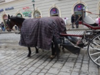 Damit die Pferdeäpfel nicht auf der Straße herumliegen, ist hinten eine Auffangtasche befestigt, vom geliebten Briten liebevoll "Scheiße-Bag" genannt.