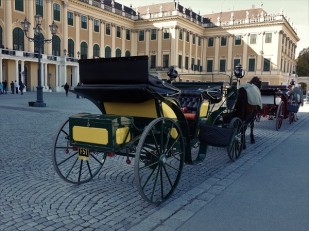 Noch ein Fiaker, dieses vor Schloss Schönbrunn.